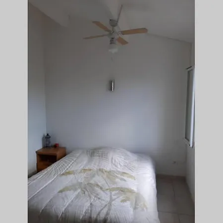 Villa Tropical Paradise In Camargue Vauvert
