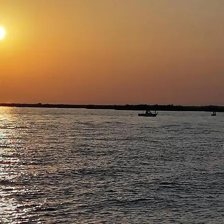 Tropical Paradise In Camargue * Vauvert